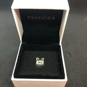 Pandora Curious Cat Silver Charm #791706